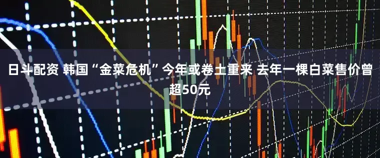 日斗配资 韩国“金菜危机”今年或卷土重来 去年一棵白菜售价曾超50元