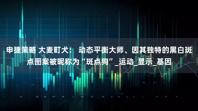 申捷策略 大麦町犬： 动态平衡大师、因其独特的黑白斑点图案被昵称为“斑点狗”_运动_显示_基因