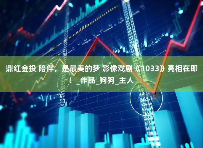 鼎红金投 陪伴，是最美的梦 影像戏剧《1033》亮相在即！_作品_狗狗_主人