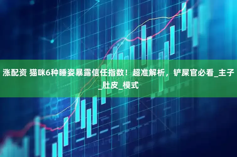 涨配资 猫咪6种睡姿暴露信任指数！超准解析，铲屎官必看_主子_肚皮_模式