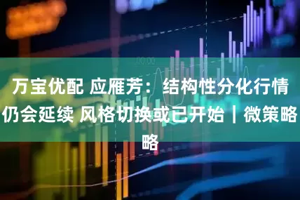 万宝优配 应雁芳：结构性分化行情仍会延续 风格切换或已开始｜微策略