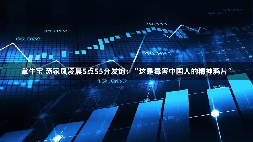 掌牛宝 汤家凤凌晨5点55分发炮：“这是毒害中国人的精神鸦片”